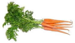 Carrots