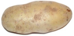 Potato